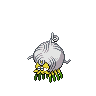 Tarountula