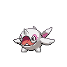 Cetoddle