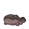 Clodsire